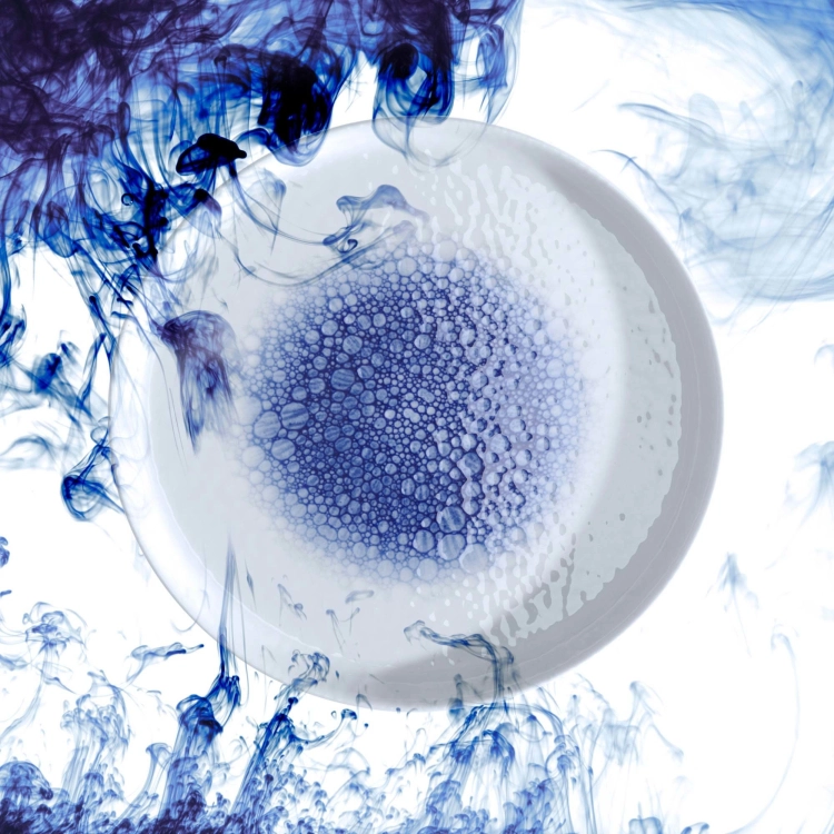 21db92999e34a46ff5f65265e631aaba