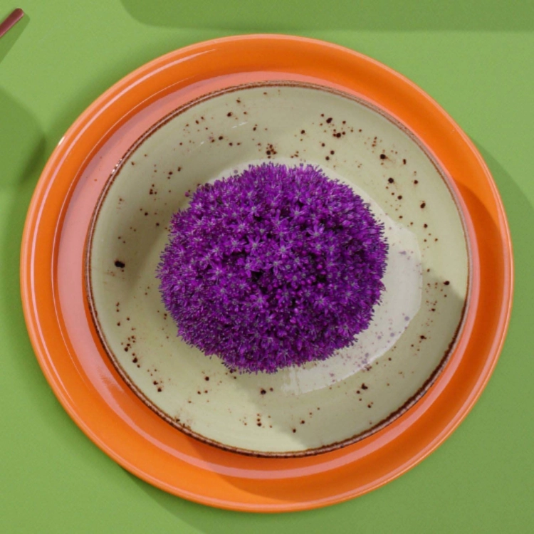 de9233f4b9274a12bcacbed29558b9e8