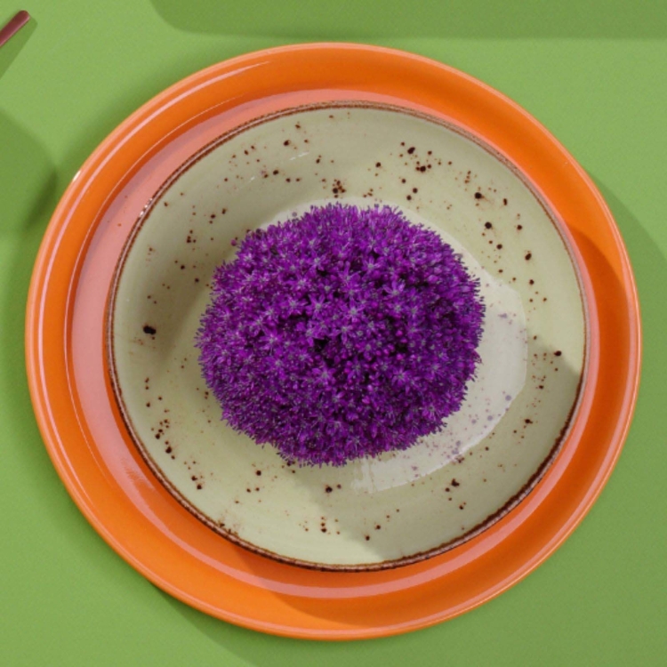 2c2f48f505b53b2b006123c8dd2176a4