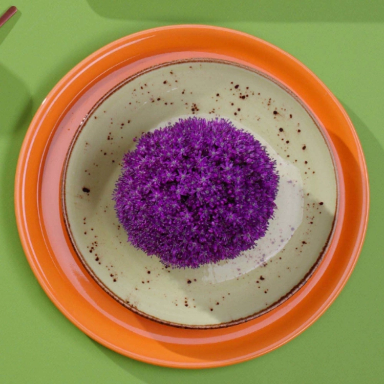 63faf977a37c018ccfbc10ba4e74ca0c