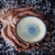 39d036de1e8c67a409a1ad6e80082b62
