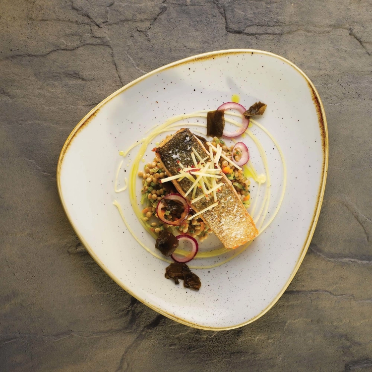 ce5d2fda0dcdf519e454b10397e979ee