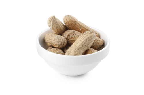 1efe1582b0a36571f75756e15645bb64