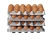 440c497b9a00b3b029d468b1f194c8bf