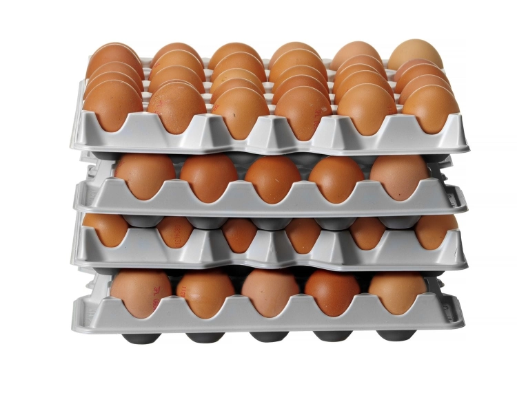 440c497b9a00b3b029d468b1f194c8bf
