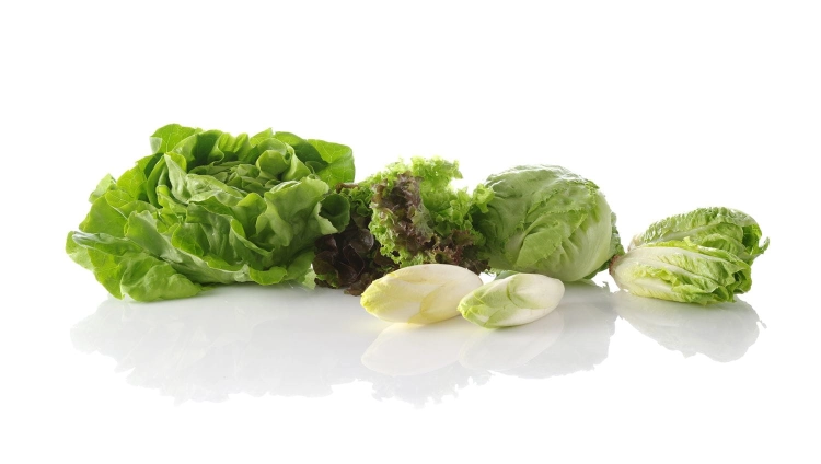 5c8a23d74b286a3ce6c93cd67ab28561